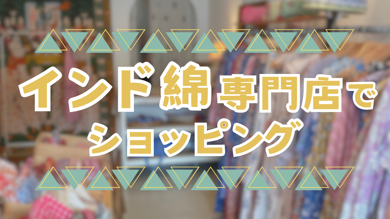 インド綿専門店でショッピング【知りたい！現地の暮らし】